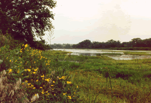 niobrara river