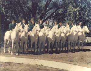 white horse troupe